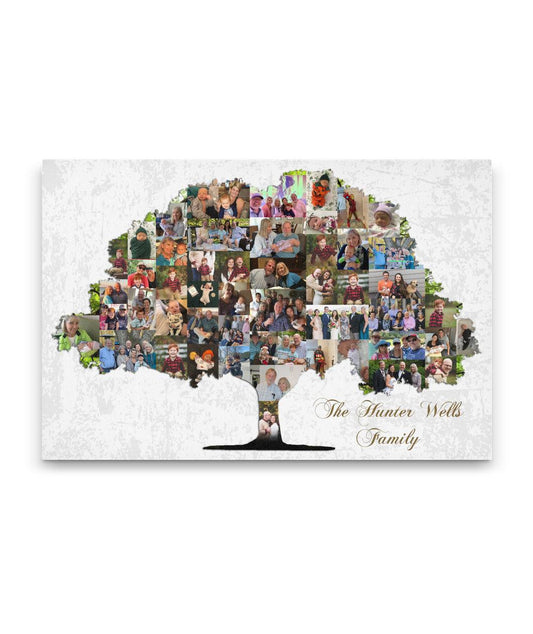 2285429555 Hunter Wells